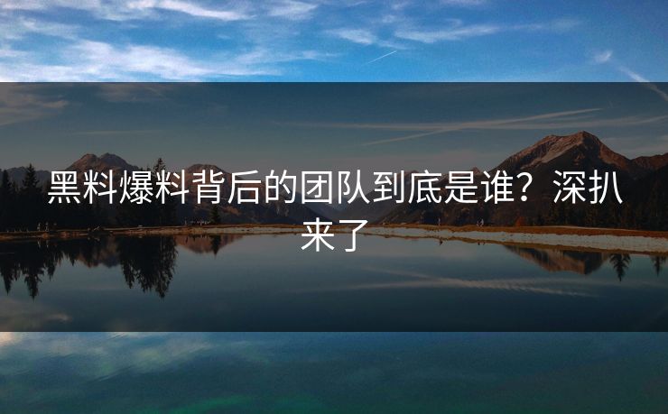 黑料爆料背后的团队到底是谁？深扒来了