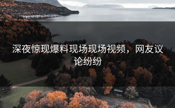 深夜惊现爆料现场现场视频，网友议论纷纷