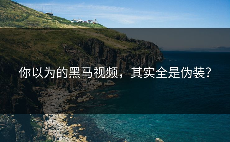你以为的黑马视频，其实全是伪装？