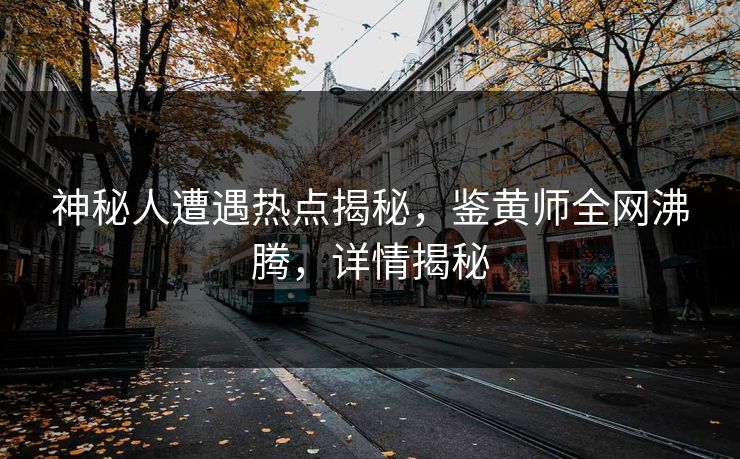 神秘人遭遇热点揭秘，鉴黄师全网沸腾，详情揭秘