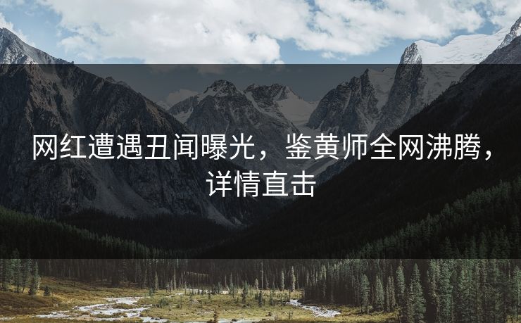 网红遭遇丑闻曝光，鉴黄师全网沸腾，详情直击