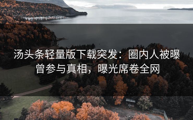 汤头条轻量版下载突发：圈内人被曝曾参与真相，曝光席卷全网