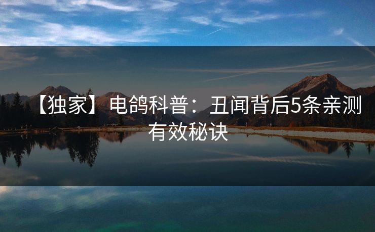 【独家】电鸽科普:丑闻背后5条亲测有效秘诀 【独家】电鸽科普:丑闻背后5条亲测有效秘诀