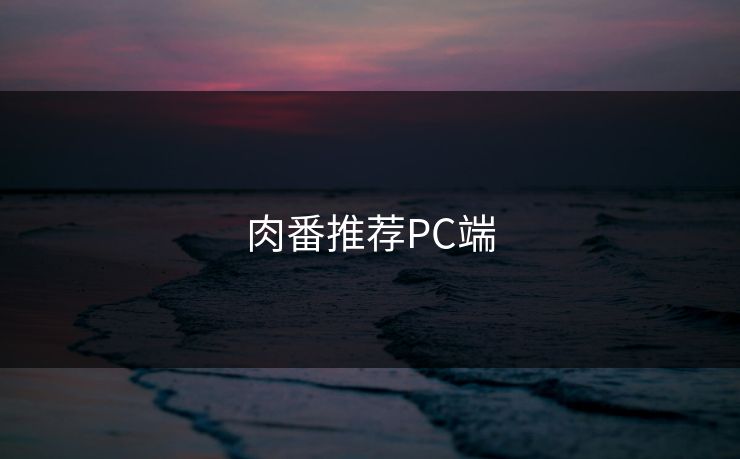 肉番推荐PC端